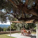 The Cerulean Villa. The Concord Of Blue And Green! Villa Mousata